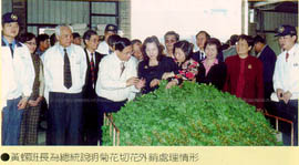 黃螺班長為總統說明菊花切花外銷處理情形