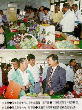 上：展示會場一角，下：果農競相向陳場長請教釋迦栽培技術