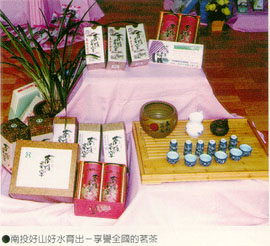 南投好山好水育出一享譽全國的茗茶