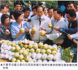 本會李金龍主委向游院長說明本省番石榴產業的瓶頸及農委會因應的對策