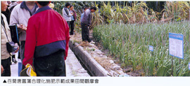 召開唐菖蒲合理化施肥示範成果田間觀摩會