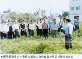 田間觀摩會由本場賴文龍先生為與會農友解說相關栽培技術