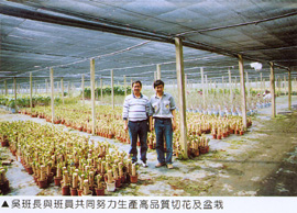 吳班長與班員共同努力生產高品質切花及盆栽