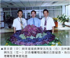 李主委(中)與本場場長陳榮五先生(右)及林嘉興先生(左)於各種葡萄品種前合影留念，為台灣葡萄產業做見證