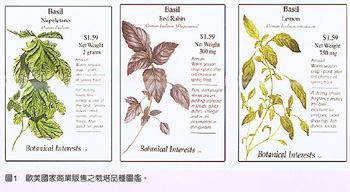 圖1.歐美國家商業販售之栽培品種圖鑑。