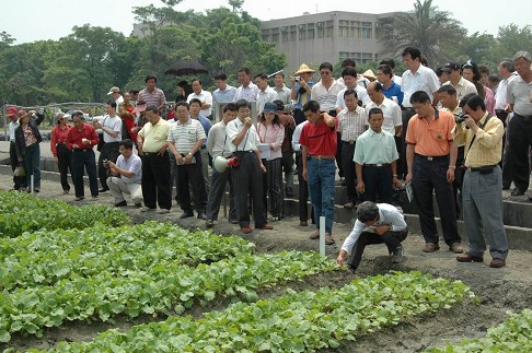 育成蔬菜新品種