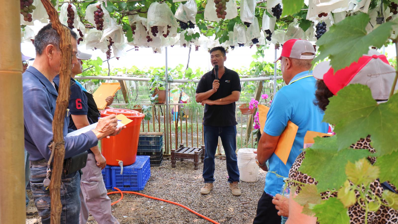 胡志豪青農表示藉由本場所開發的友善與循環資材可有效降低葡萄病害並復育葡萄樹勢，生產出鮮甜Q彈的葡萄