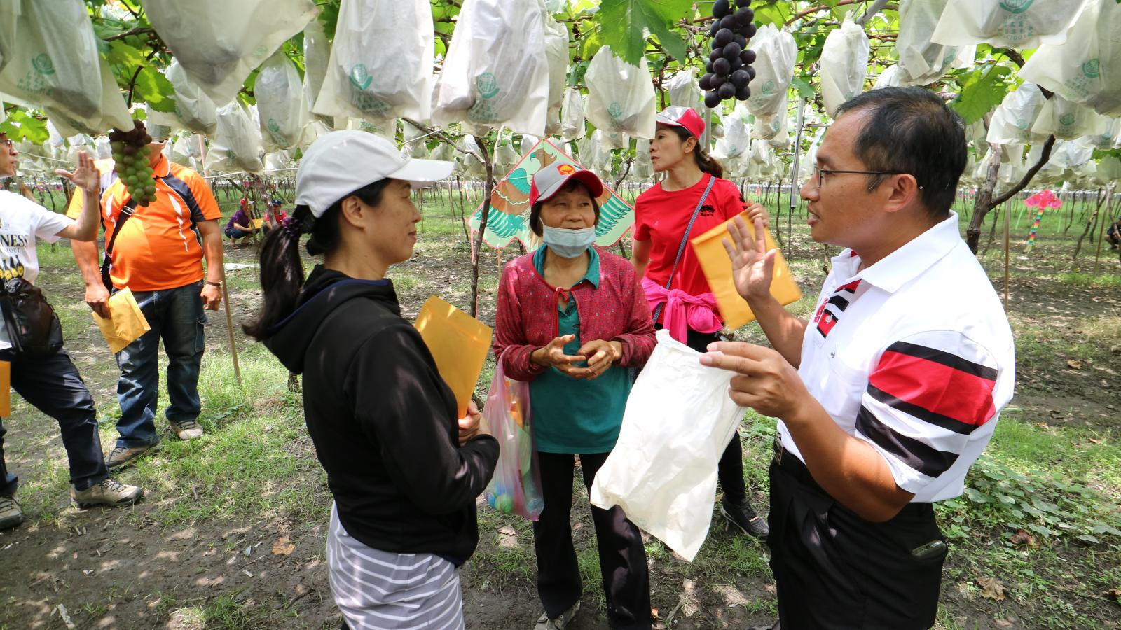 葉文彬副研究員(右1)向農民說明優質葡萄田間管理技術