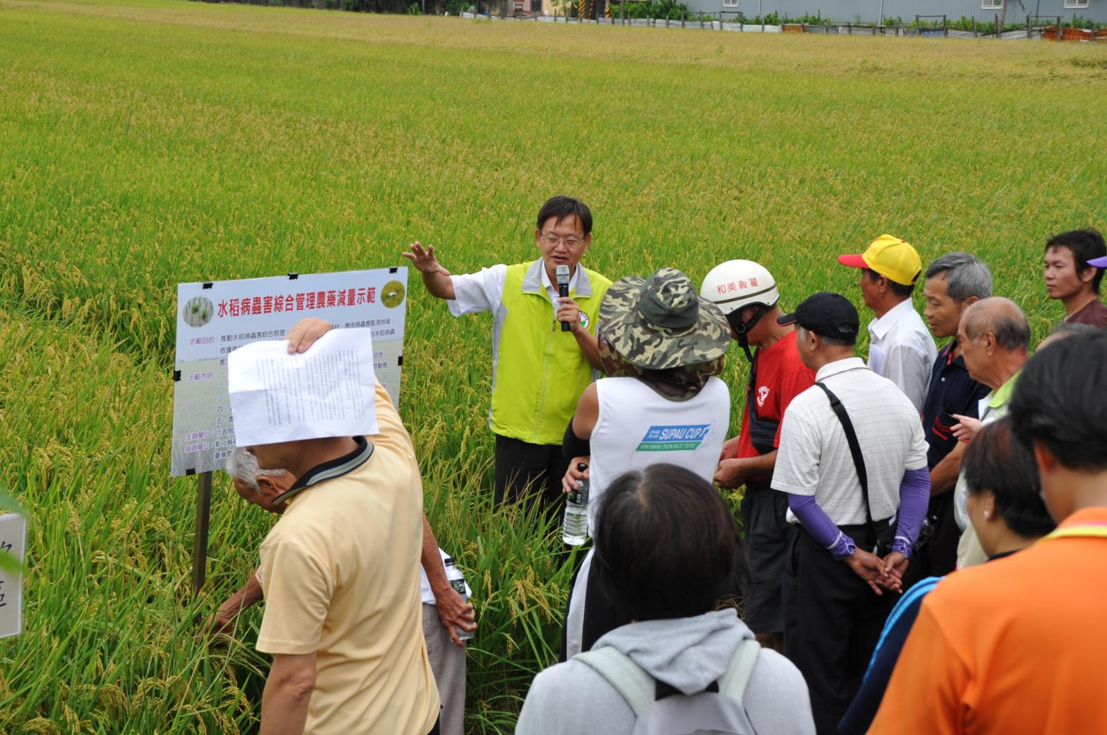 與會農友觀摩水稻病蟲害綜合管理農藥減量執行成果