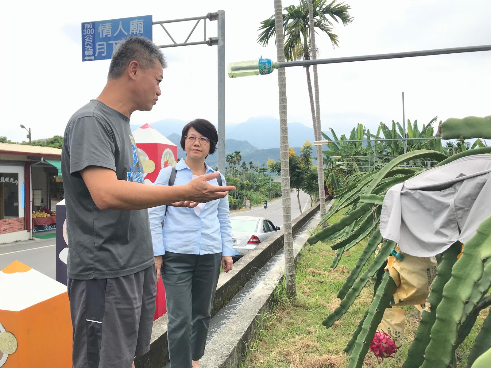 曾再盛農友向李紅曦場長介紹園區草生栽培之紅龍果。