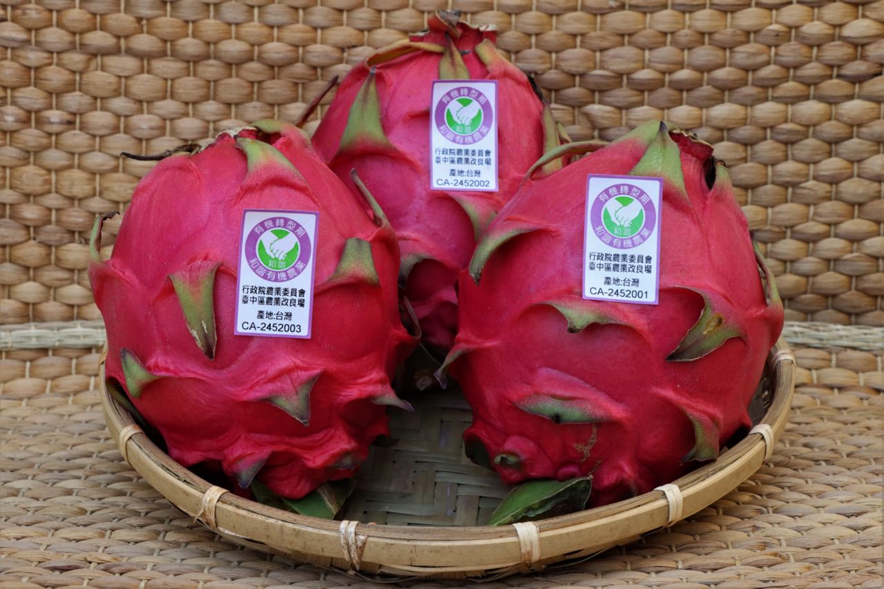 有機栽培園區生產之紅龍果取得有機驗證標章