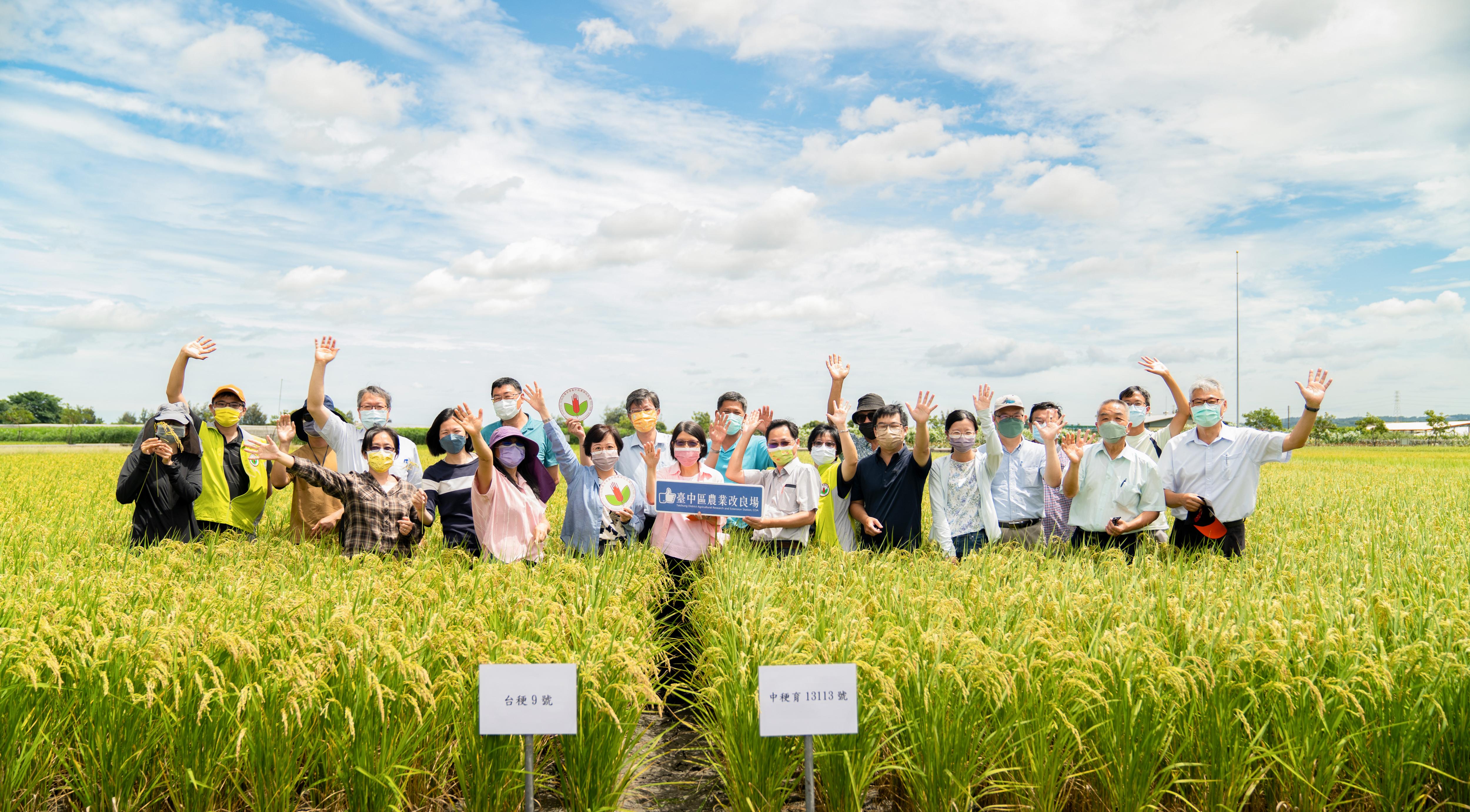 水稻新品種「台中200號」於111年6月14日經專家學者審查通過。