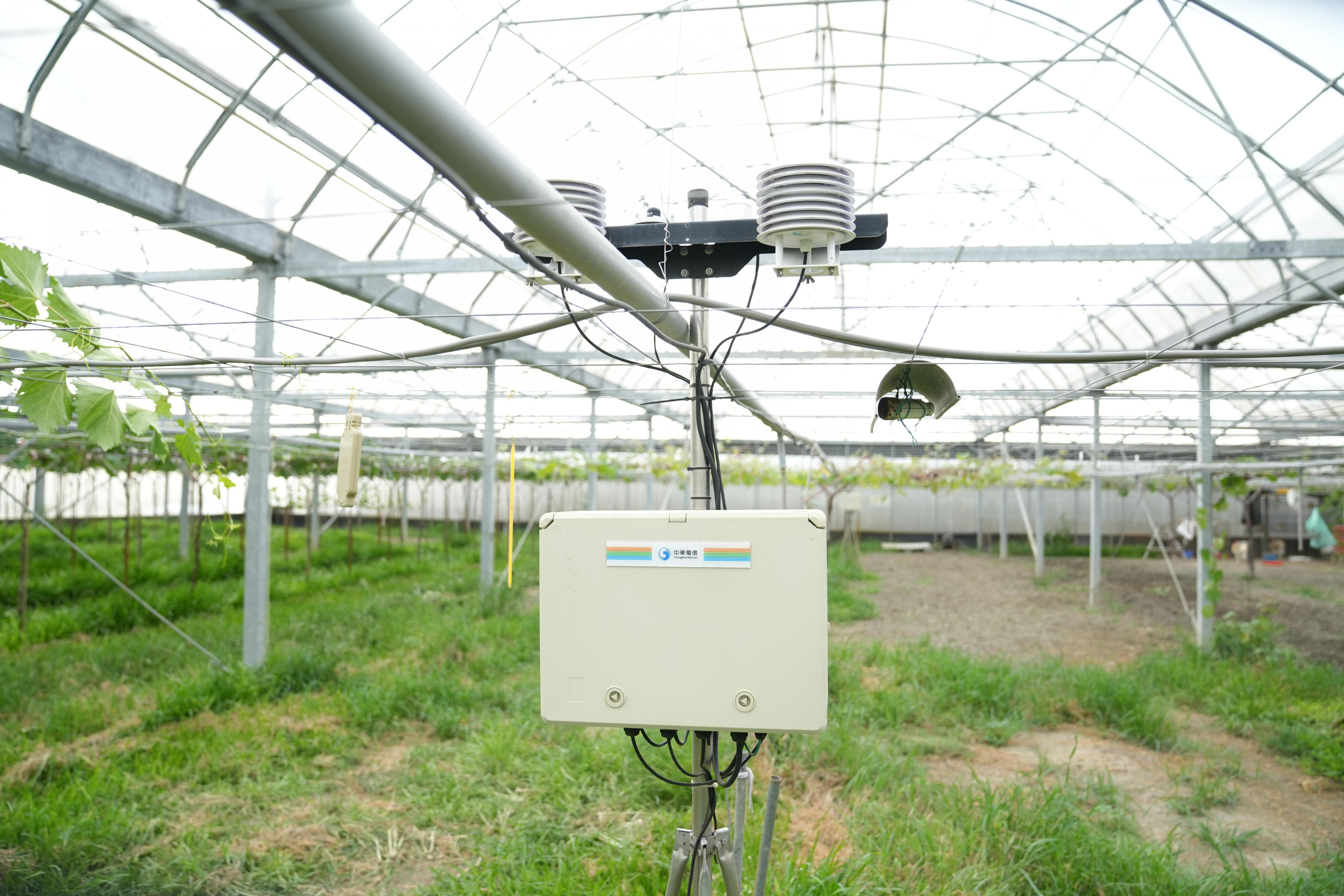 圖11.葡萄設施智能省工裝置-綜合氣象站，可即時監控環境氣象數據。