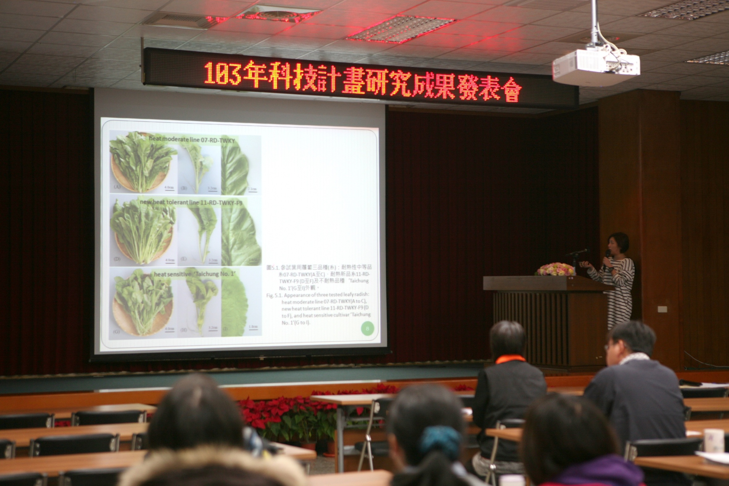 陳葦玲助理研究員報告葉用蘿蔔之耐熱性