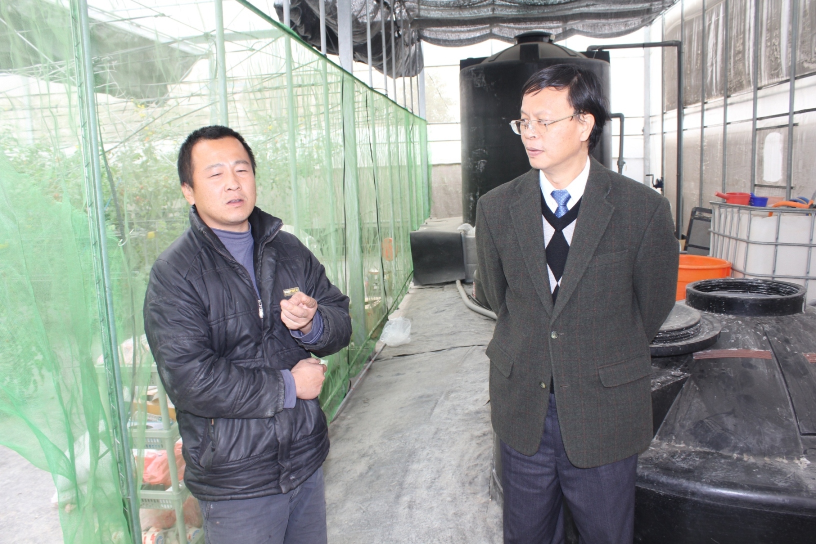 青年農民施勝豐 ( 左一 ) 向林學詩場長介紹農場內小番茄栽培情形 