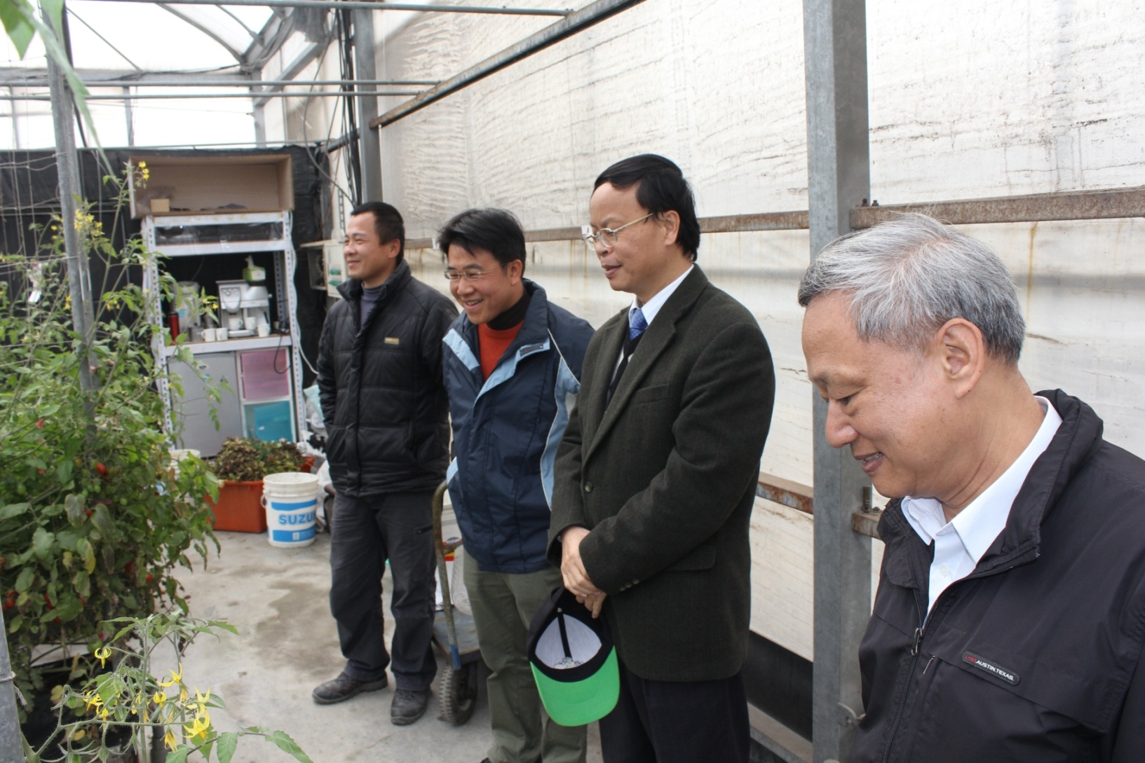 青年農民陳國鎮 ( 左二 ) 與林學詩場長討論小番茄果品加工開發之可行性