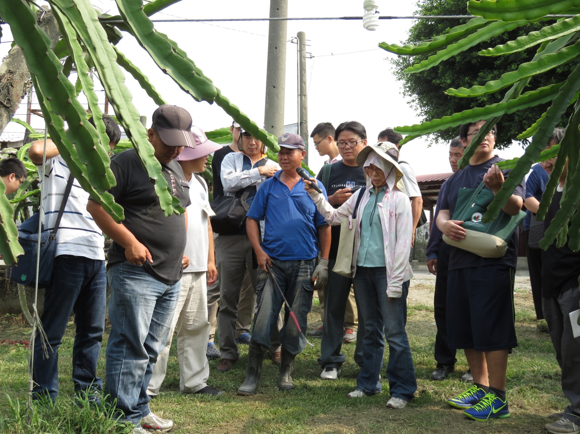 學員參訪二林鎮紅龍果產銷班第 15 班黃清榮副班長果園