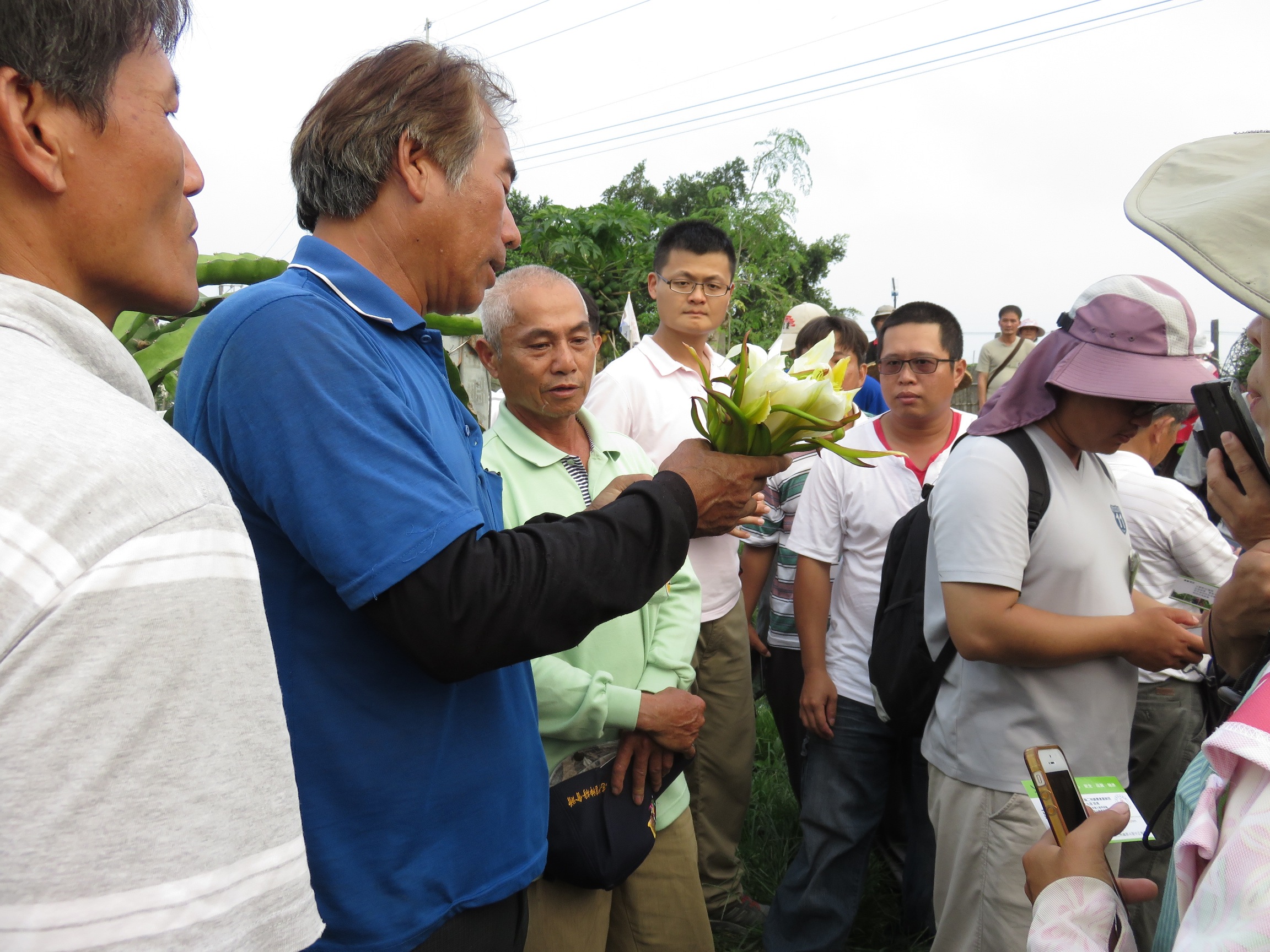 學員參訪二林鎮紅龍果產銷班第 19 班莊木期班長果園