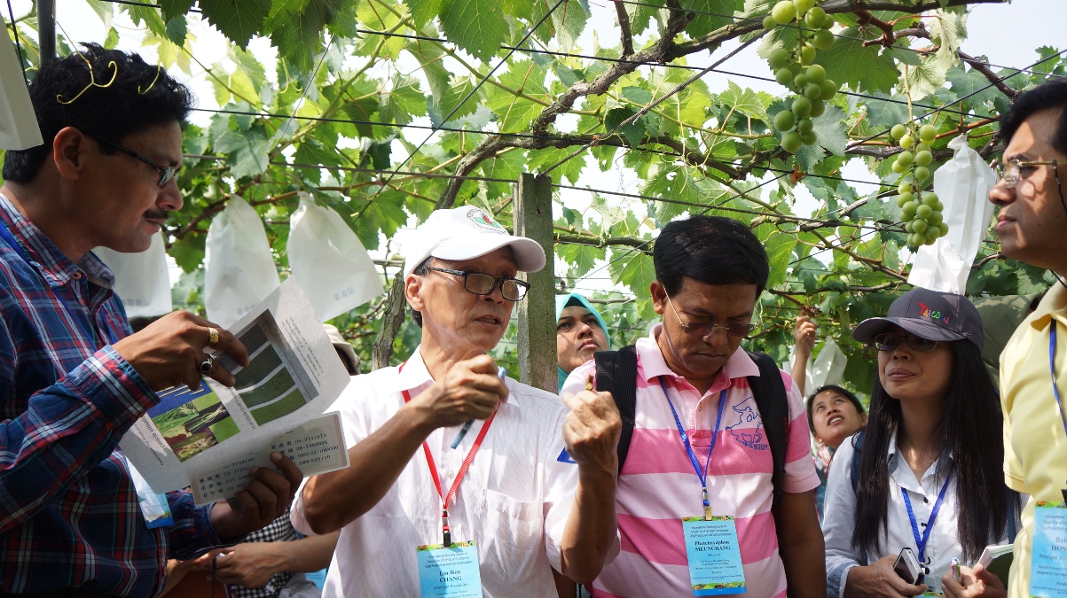 張林仁助理研究員向學員說明葡萄果串的修剪技巧