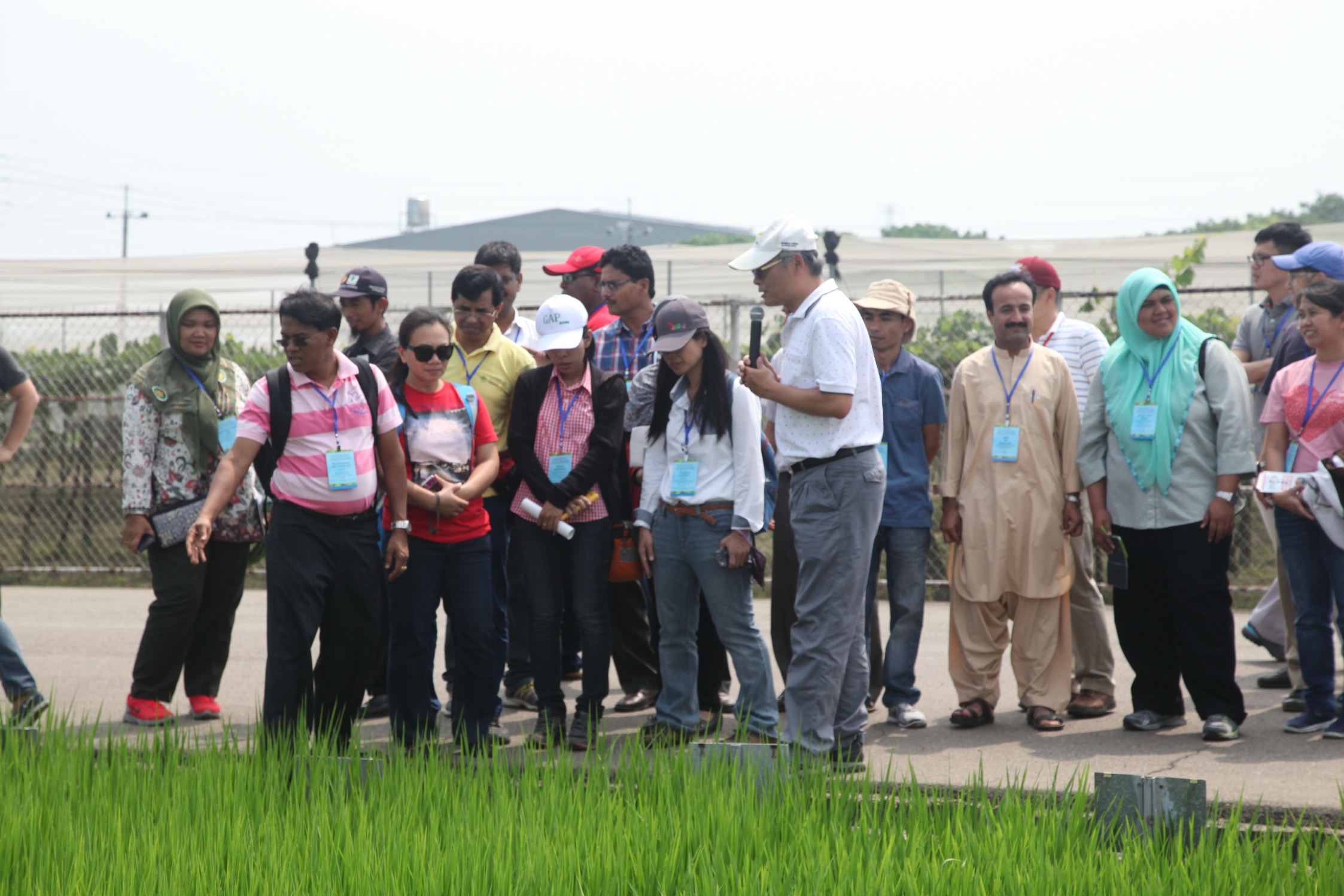 楊嘉凌副研究員說明水稻的施肥技術