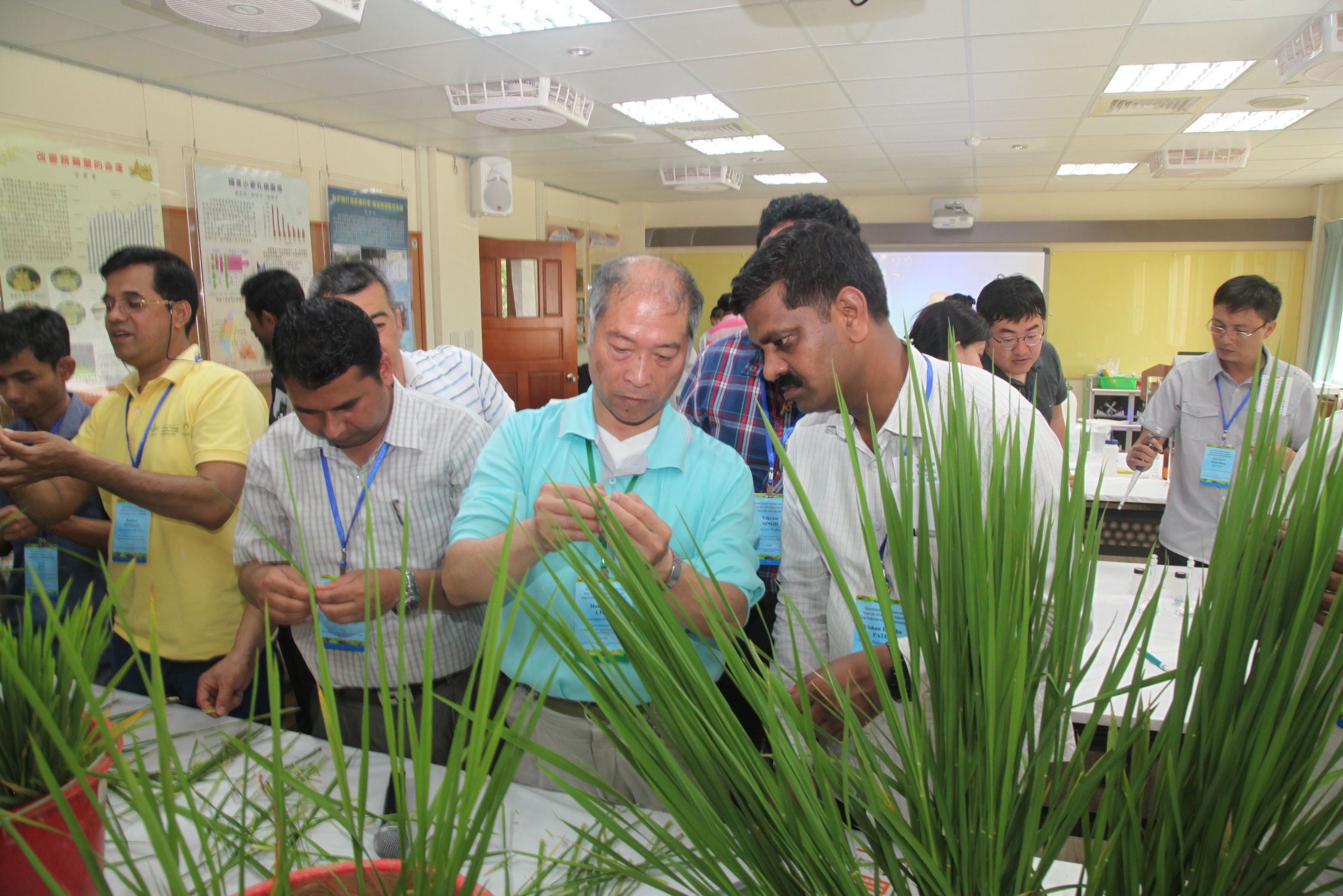 陳鴻堂助理研究員指導學員以幼穗形成期判斷施肥時機