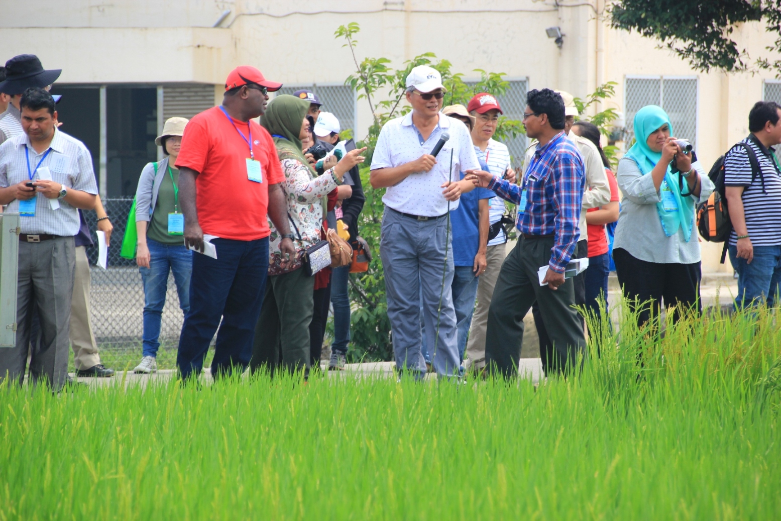 來自印度的學員向講師楊嘉凌詢問臺灣的水稻育種