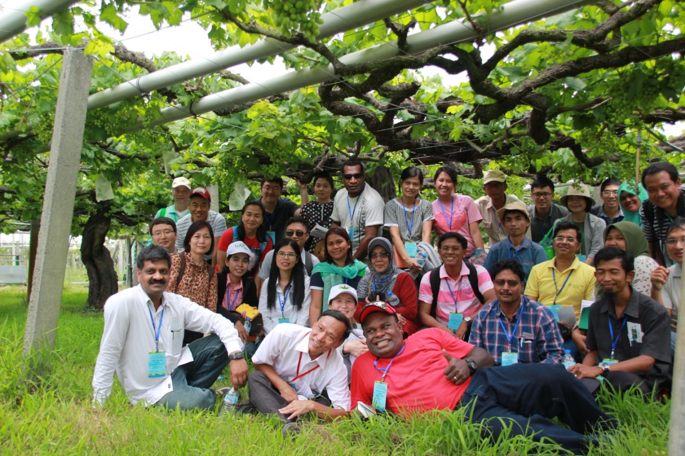 學員在臺中農改場葡萄老樹前開心合影