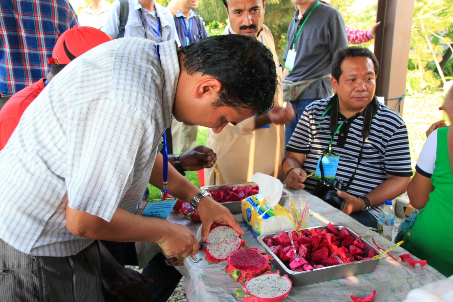 學員親自體驗優質的臺灣紅龍果