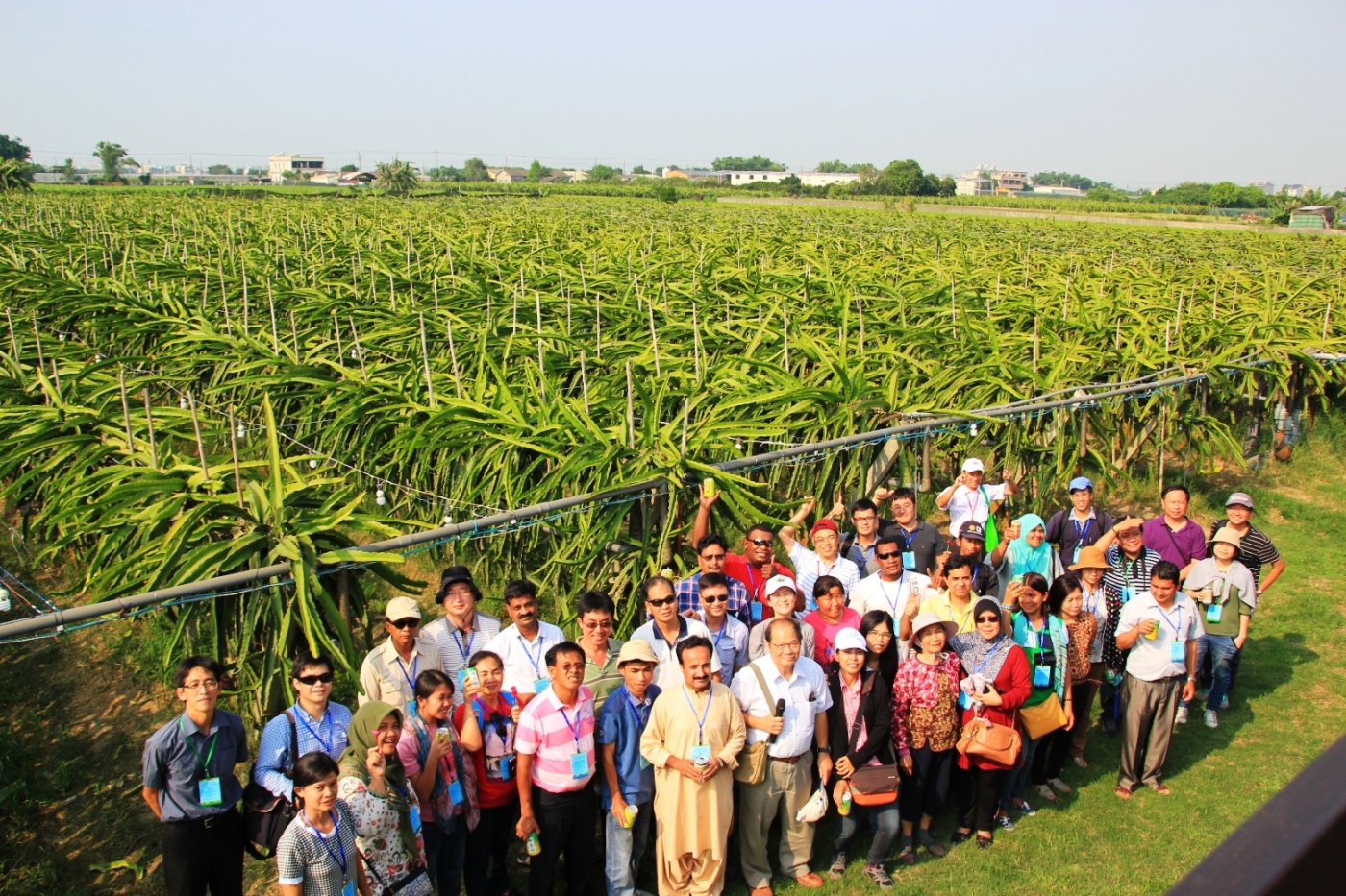 學員參訪二林有機紅龍果園