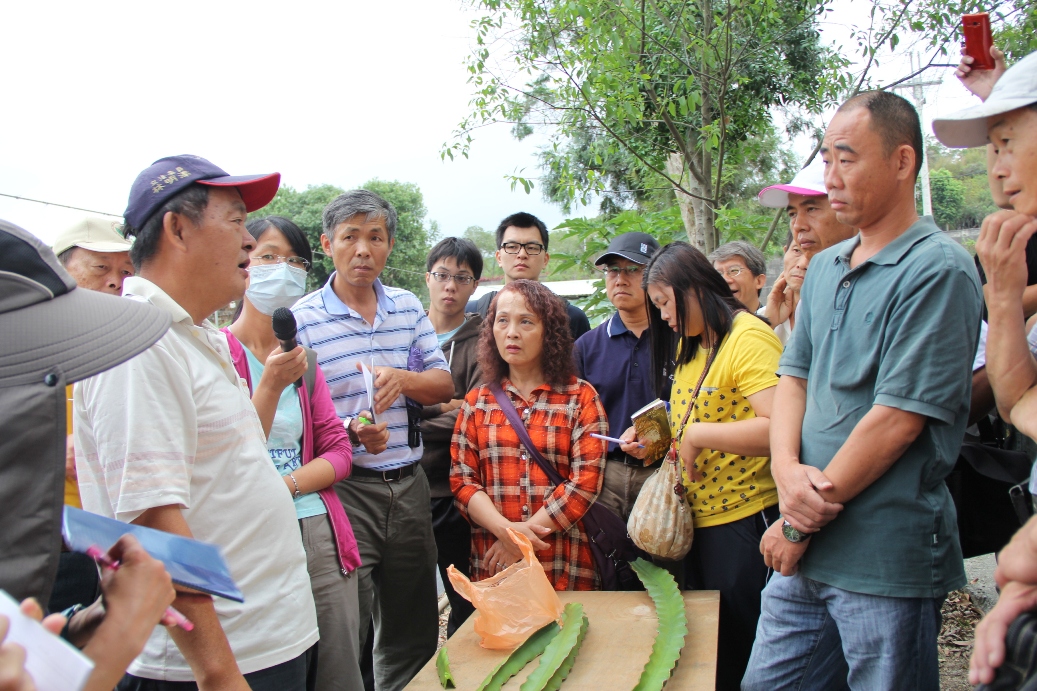 紅龍果栽培達人陳坤廷先生分享紅龍果栽培經驗