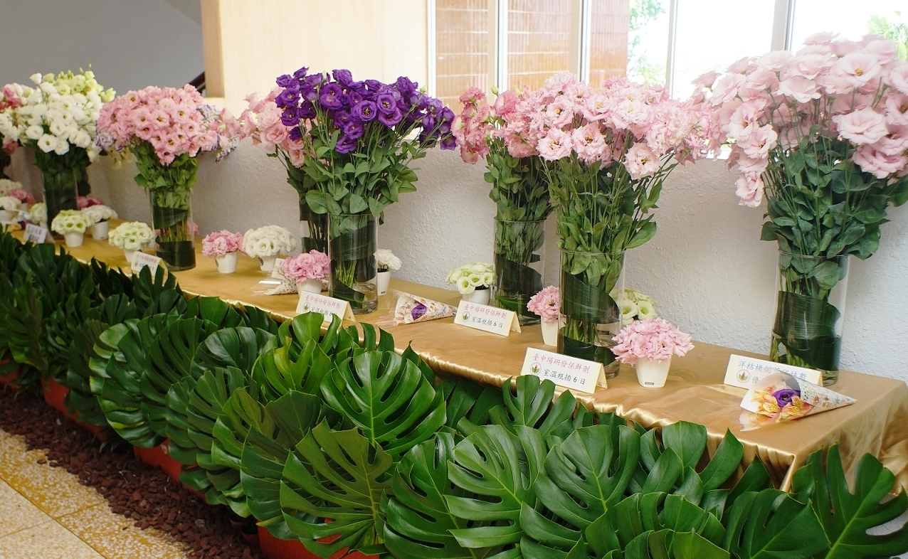 與會嘉賓參觀近年洋桔梗新育成品種及保鮮技術展示