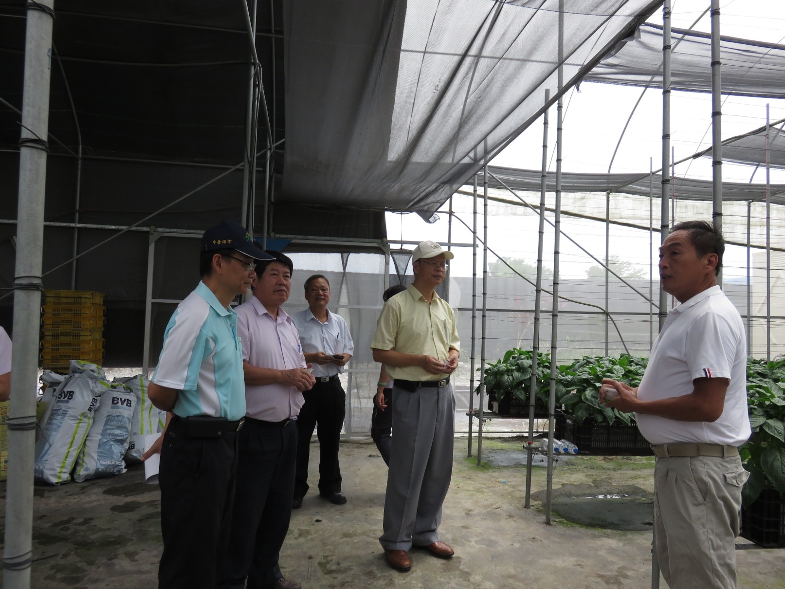 參訪埔里鎮椒類生產合作社劉讚和監事主席設施甜椒農場 