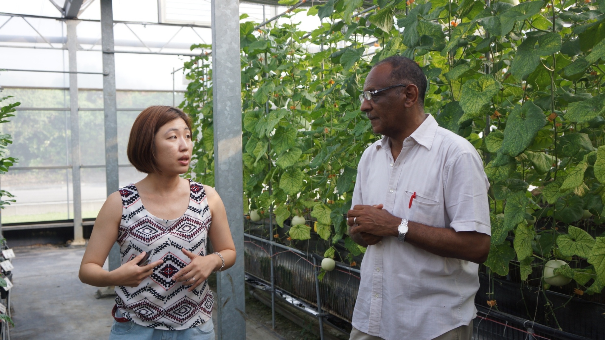 巴林代理司長伊山姆 ( 右 1) 由臺中場陳葦玲副研究員引導參觀溫室介質栽培 