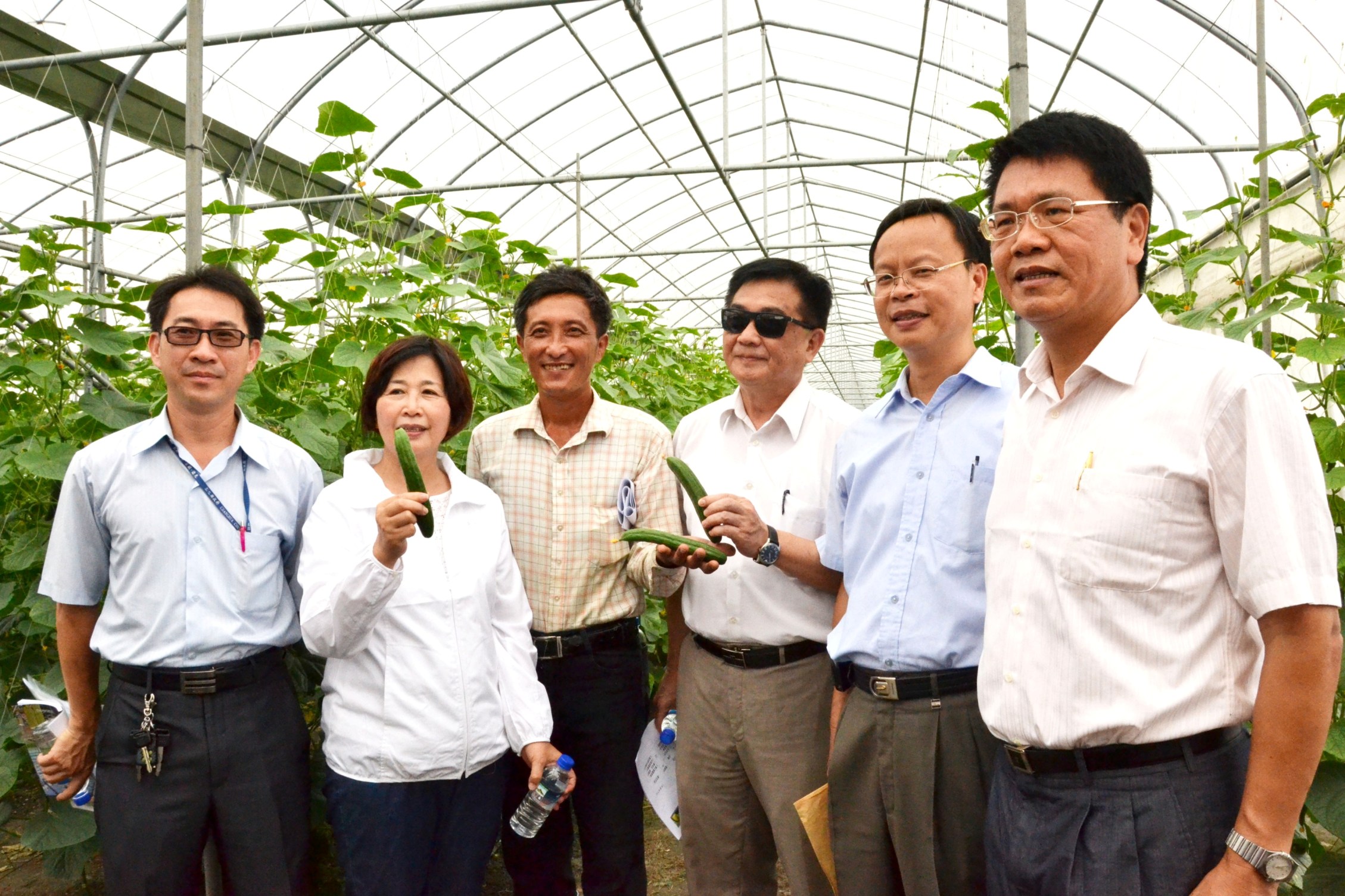 林學詩場長、鄭汝芬立委及與會人員讚揚陳蒼鄢農友(左三)的設施花胡瓜栽培 