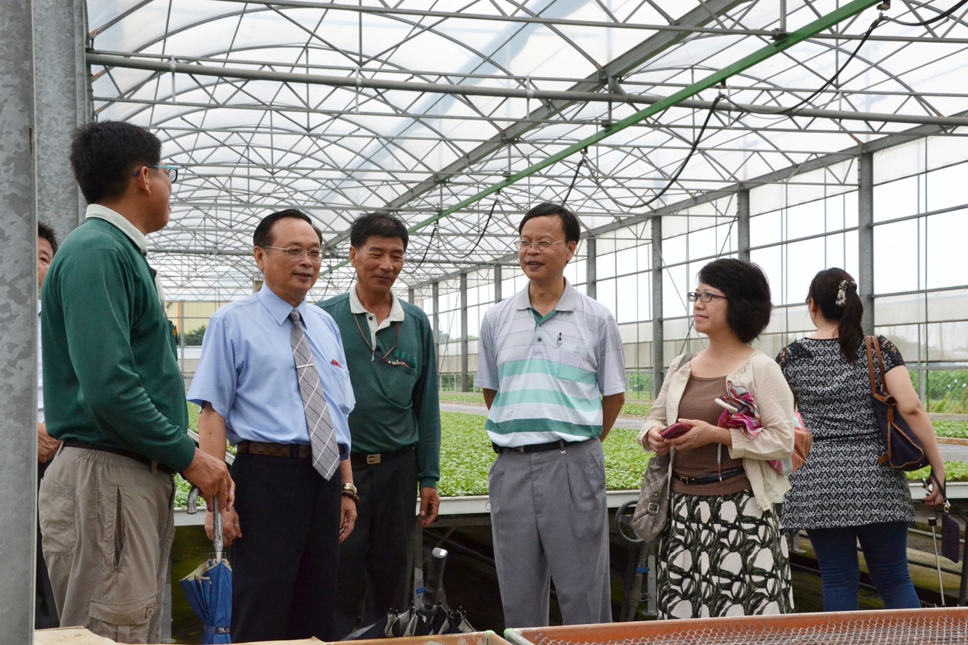 謝博華先生向 林學詩場長、農委會科技處李紅曦副處長 、溪湖鎮農會陳嘉修總幹事 等人介紹 經營之博華育苗場現況