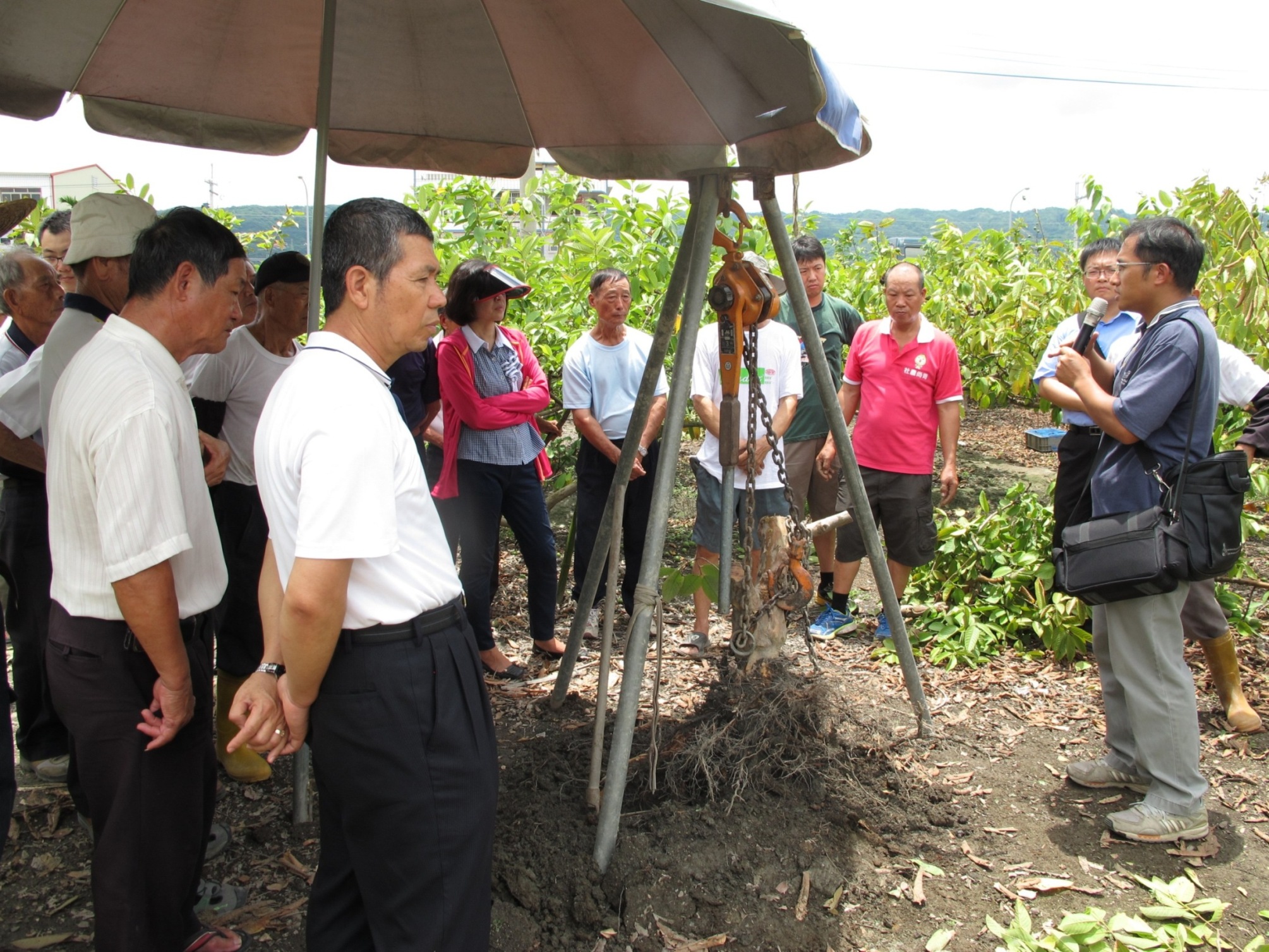本場葉文彬助理研究員向農友說明田區排水不良與番石榴根部受害之相關性 