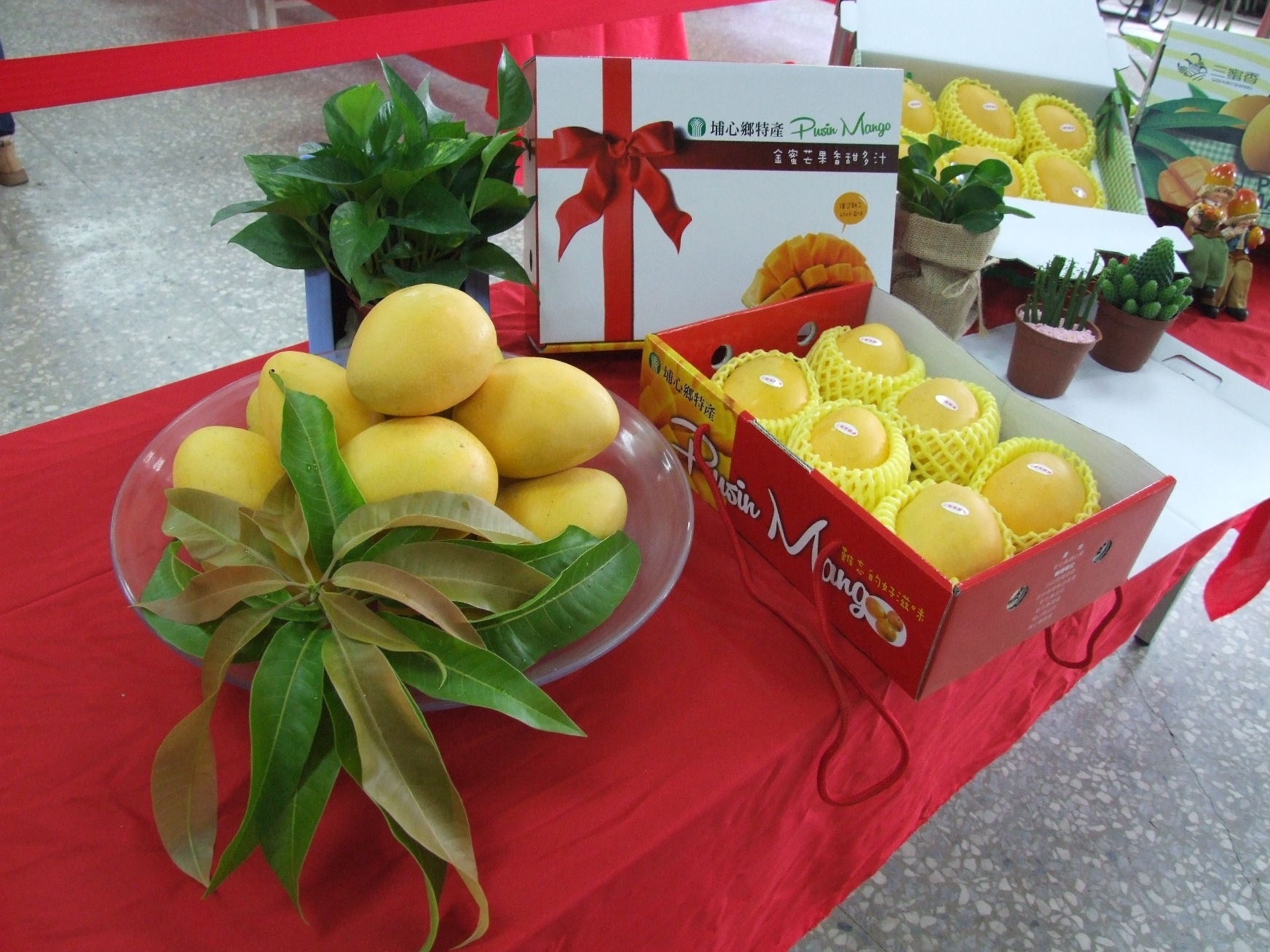 金蜜芒果果實為金黃色、風味佳，糖度達 19-21 度，為彰化縣埔心鄉三蜜特產之一