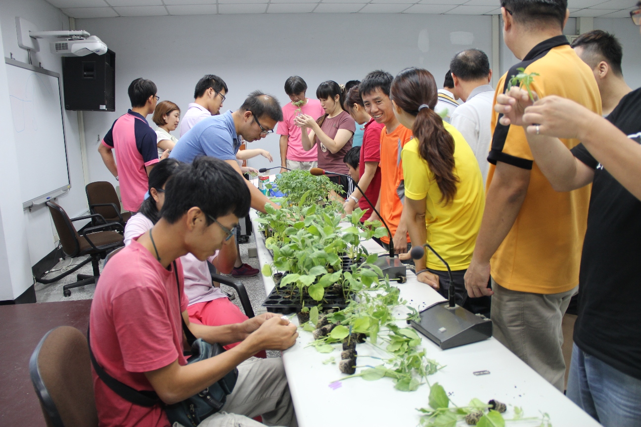 學習蔬菜嫁接技術