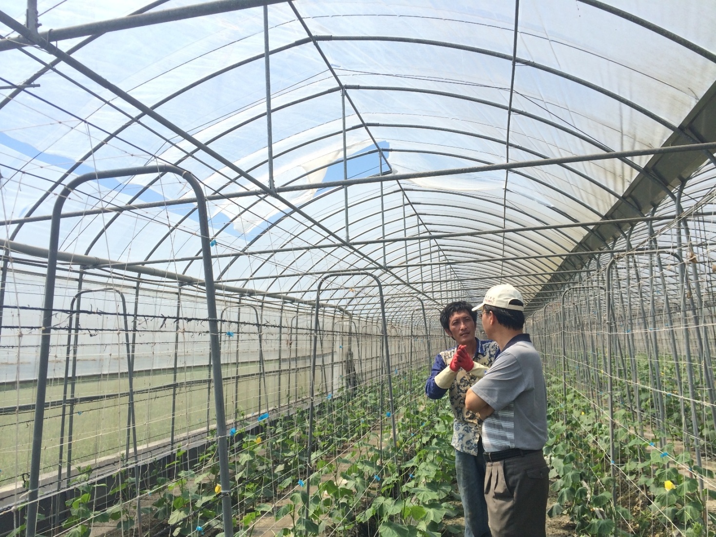 於溪州鄉黃金廊道節水溫室與陳蒼鄢農友討論設施損害及結構補強問題