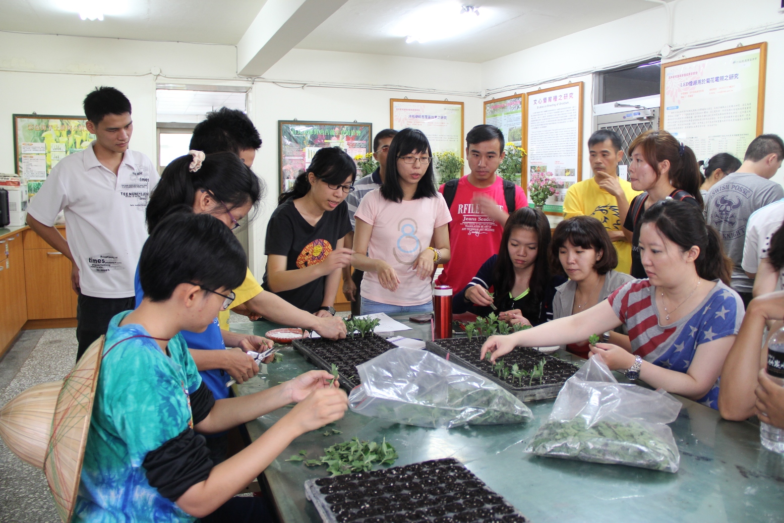 花卉繁殖實作 