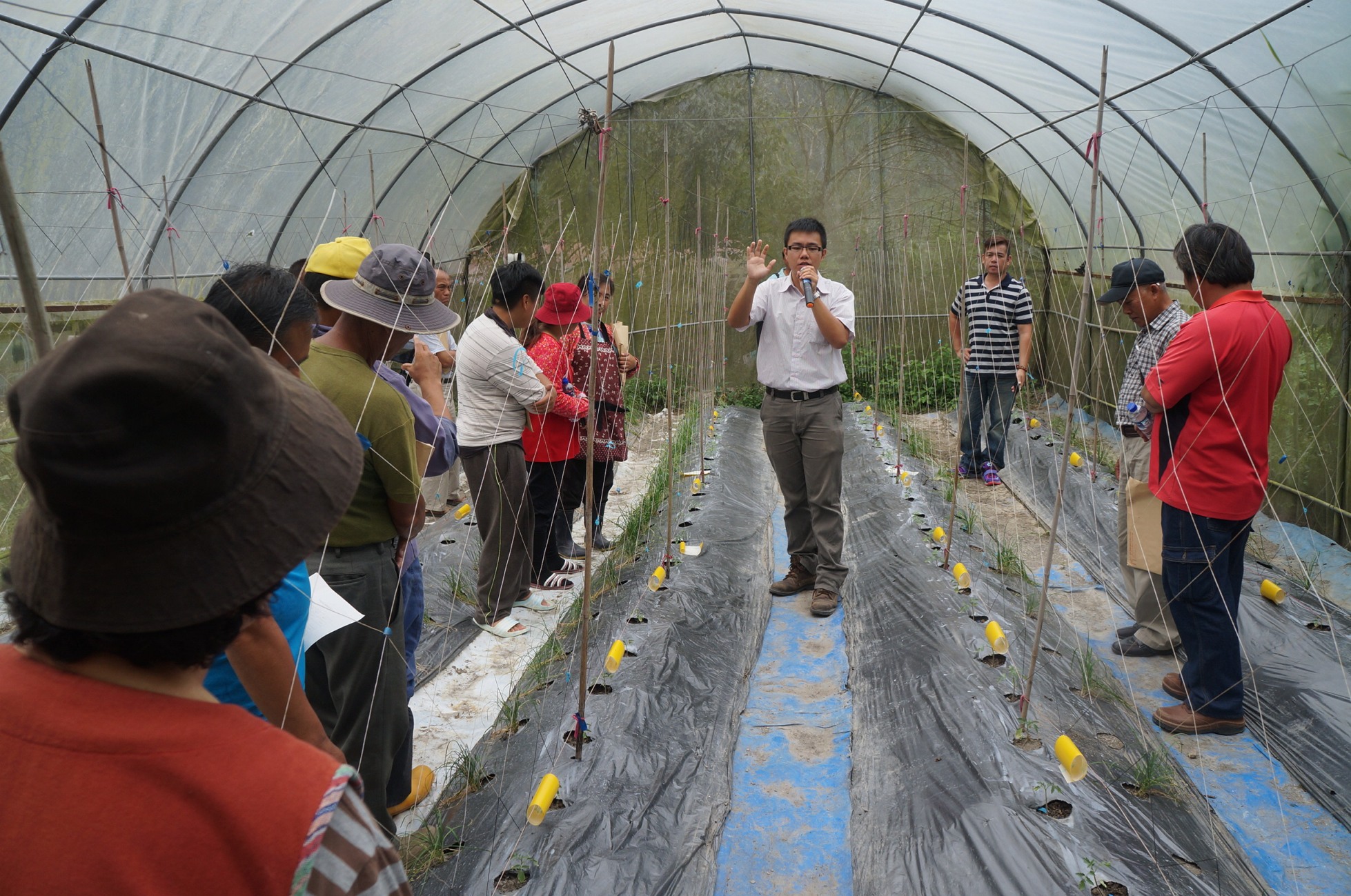 圖 4. 本場林煜恒助理研究員向農民介紹番茄定植田間後之栽培管理模式 