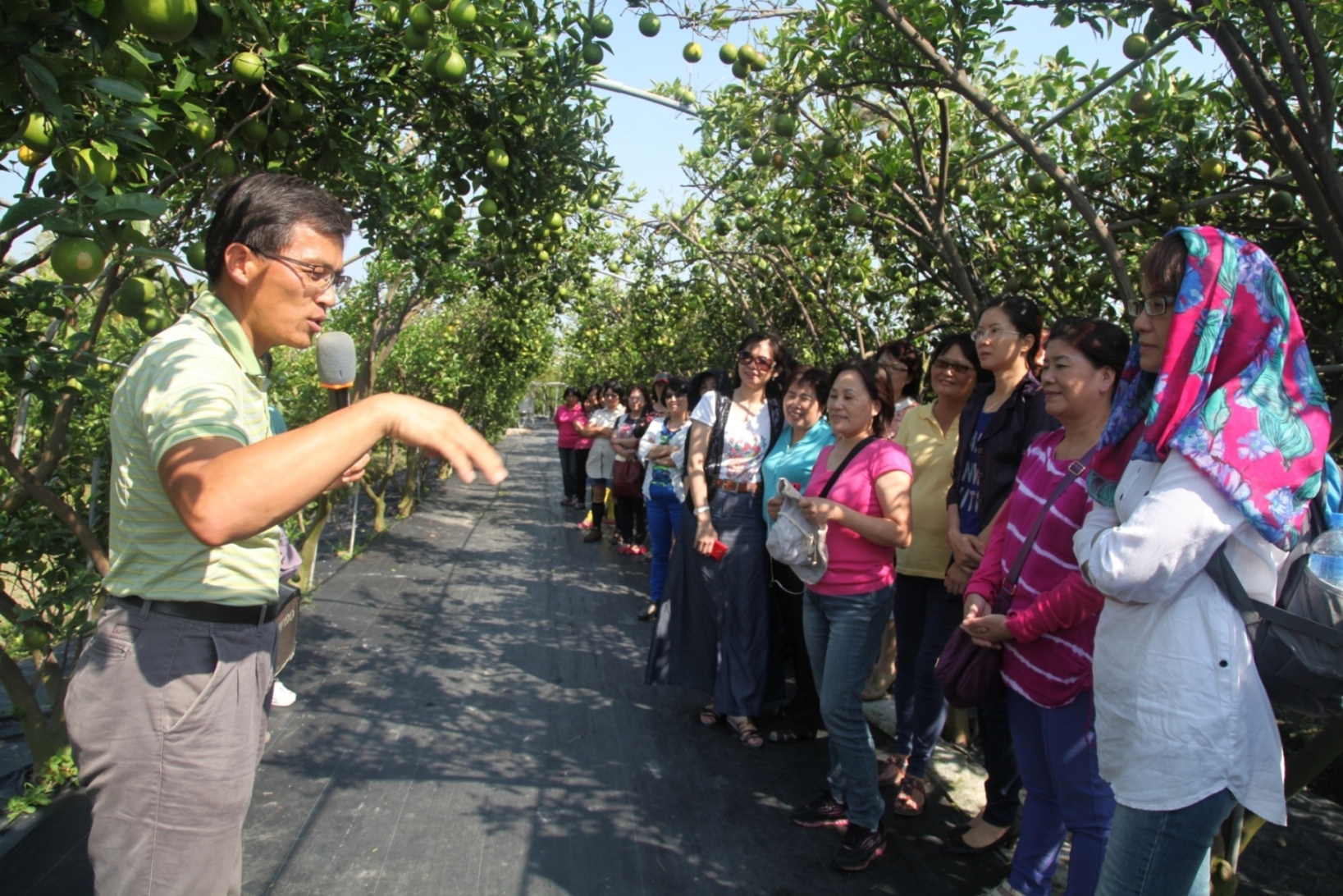 賴仲由主任引導學員至柑桔果園進行食材旅遊 