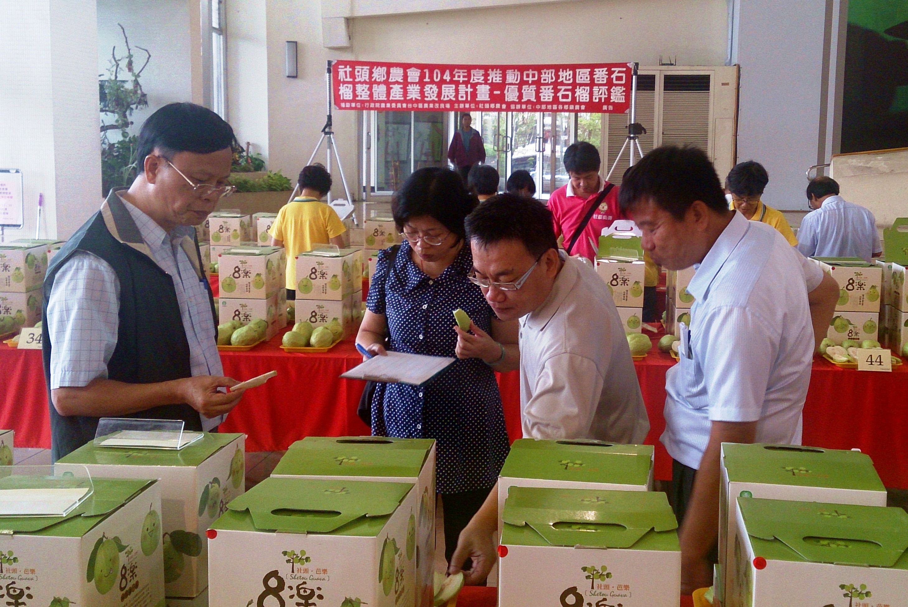 林學詩場長 ( 右起 ) 、余建美技正、謝鴻業副研究員與蕭政弘課長，依番石榴果肉質地及風味等進行第二階段評鑑