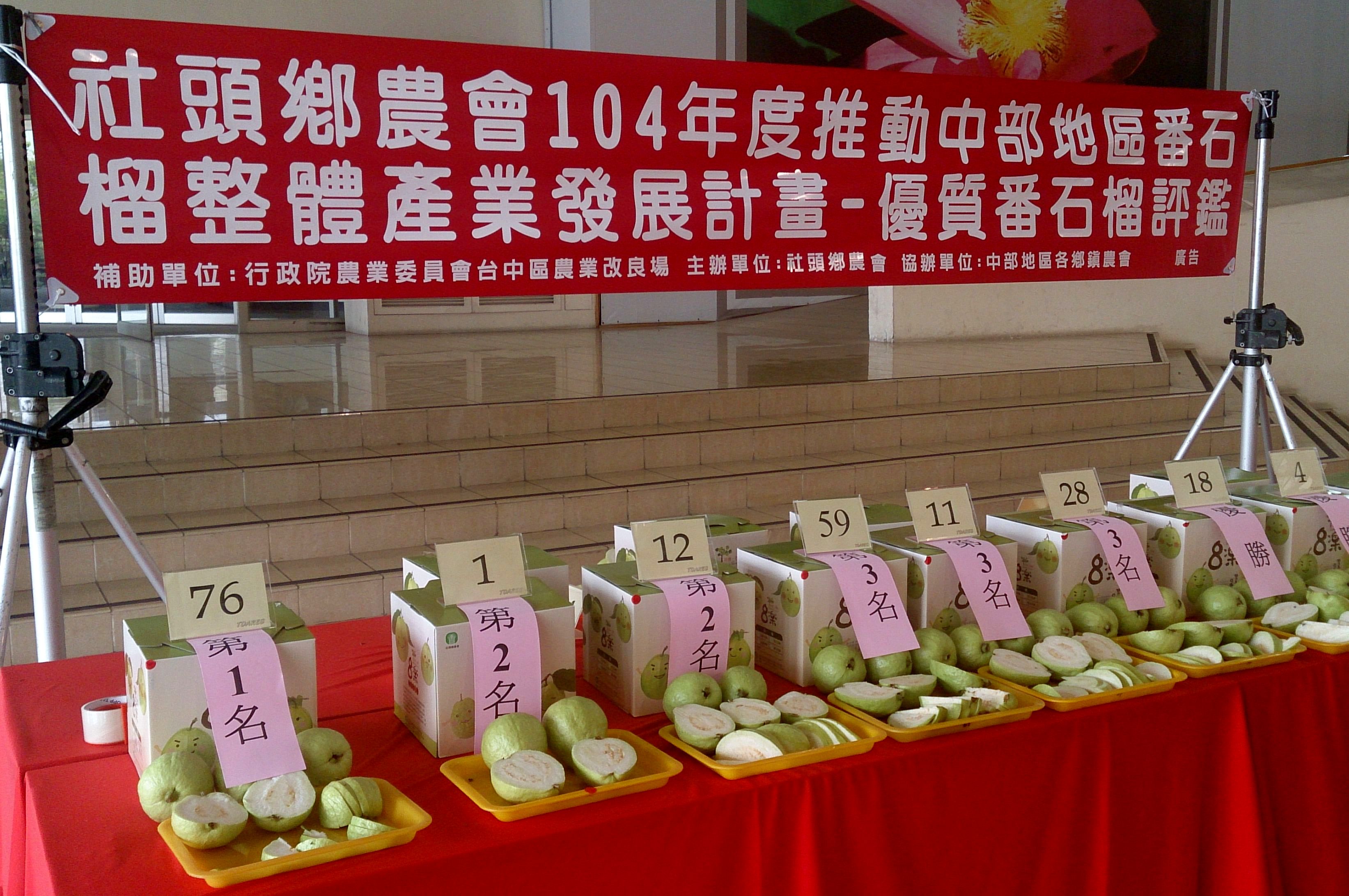 「 104 年度中部地區優質番石榴評鑑」結果出爐，由社頭鄉劉賴梨仔農友榮獲第一名