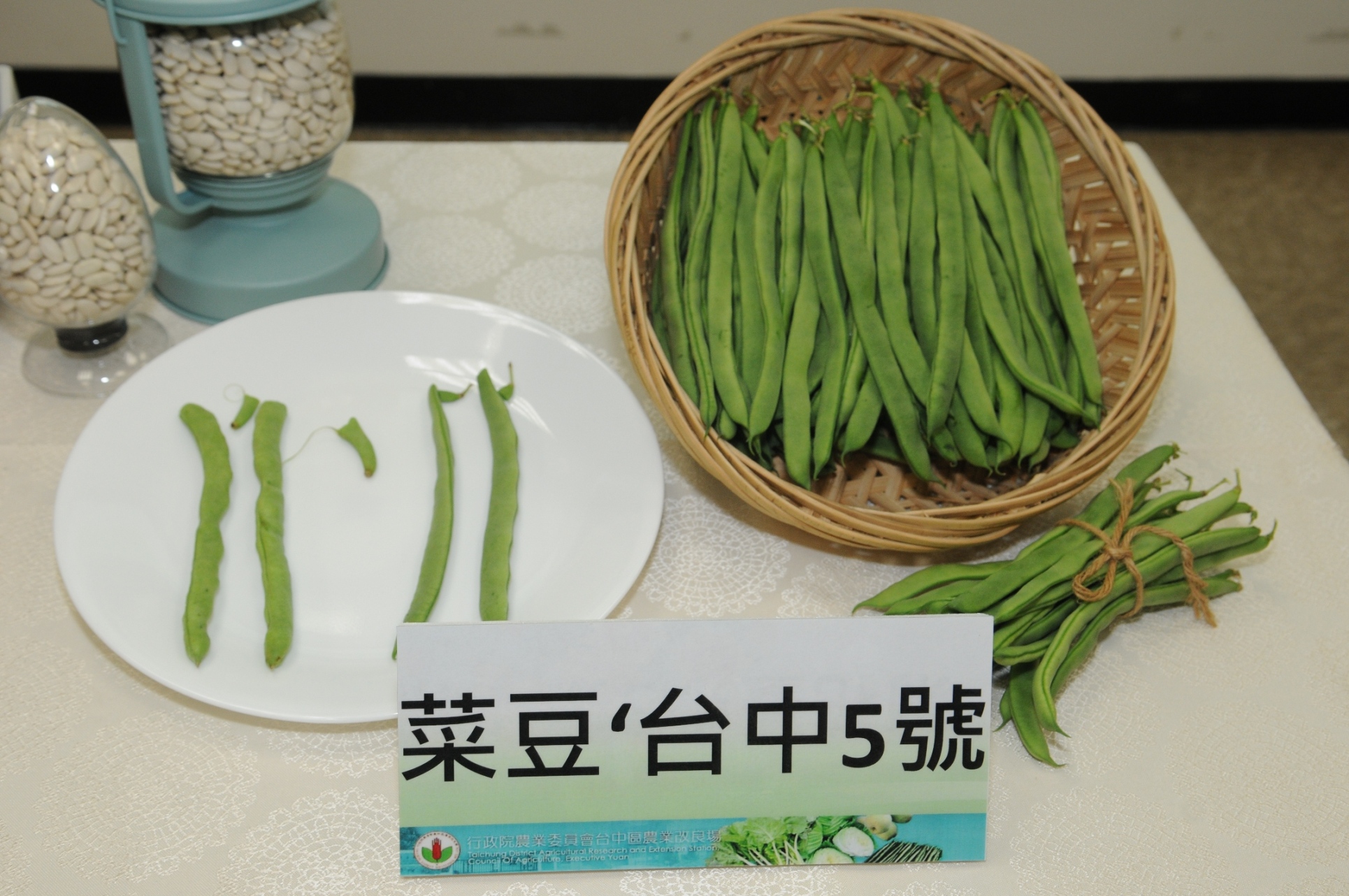 本場新研發菜豆 正式上市， 目前已開始推廣生產