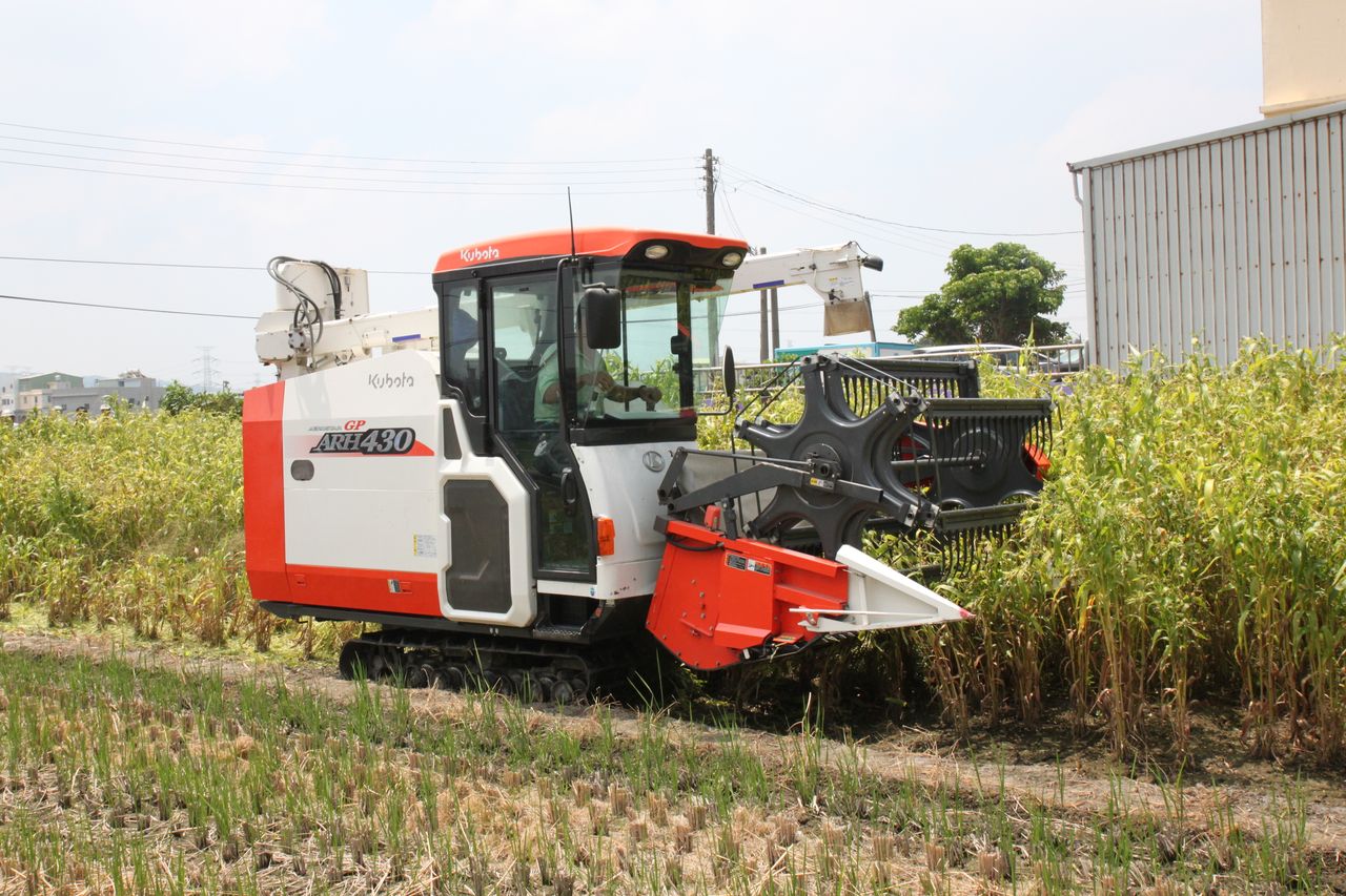 薏苡機械採收示範 