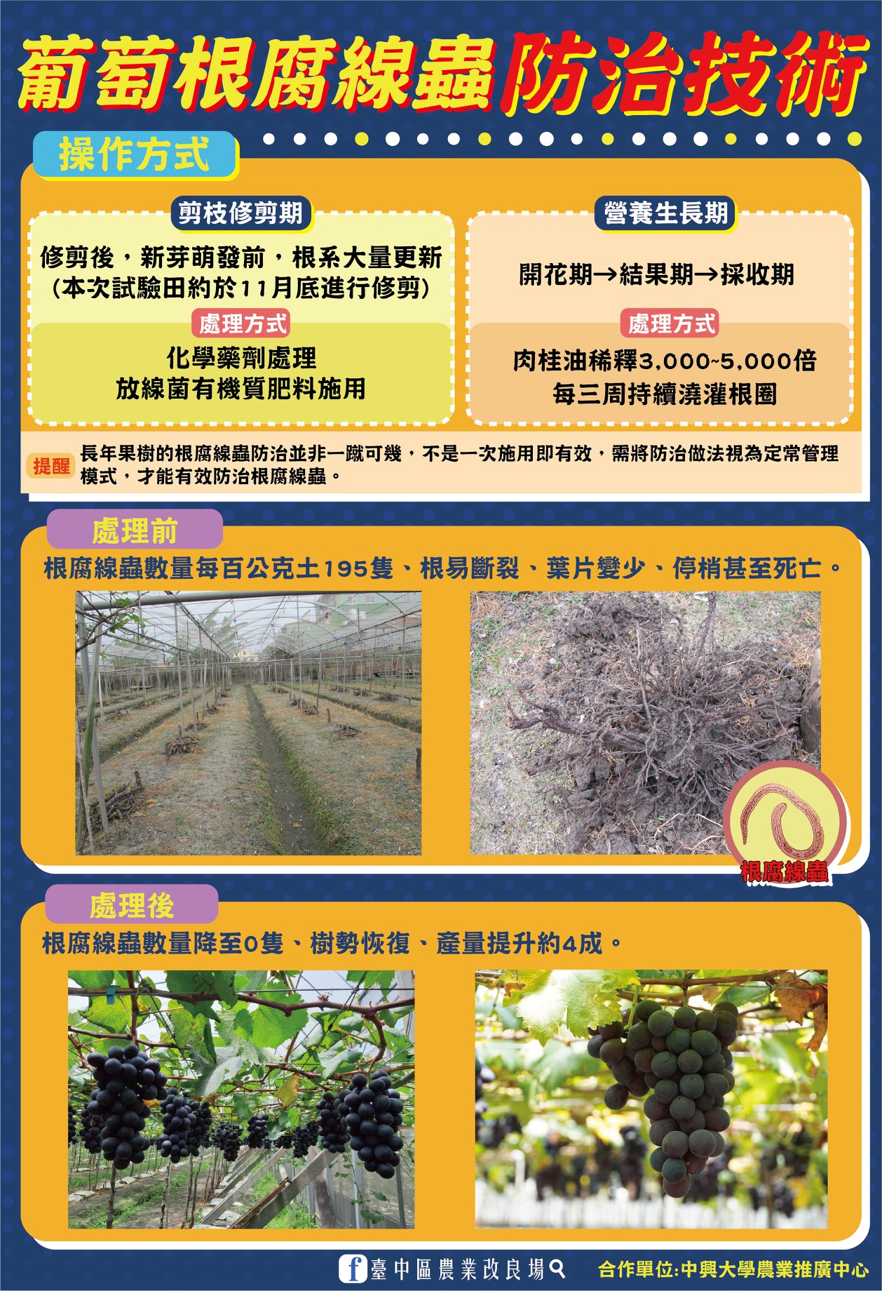 葡萄根腐線蟲防治技術