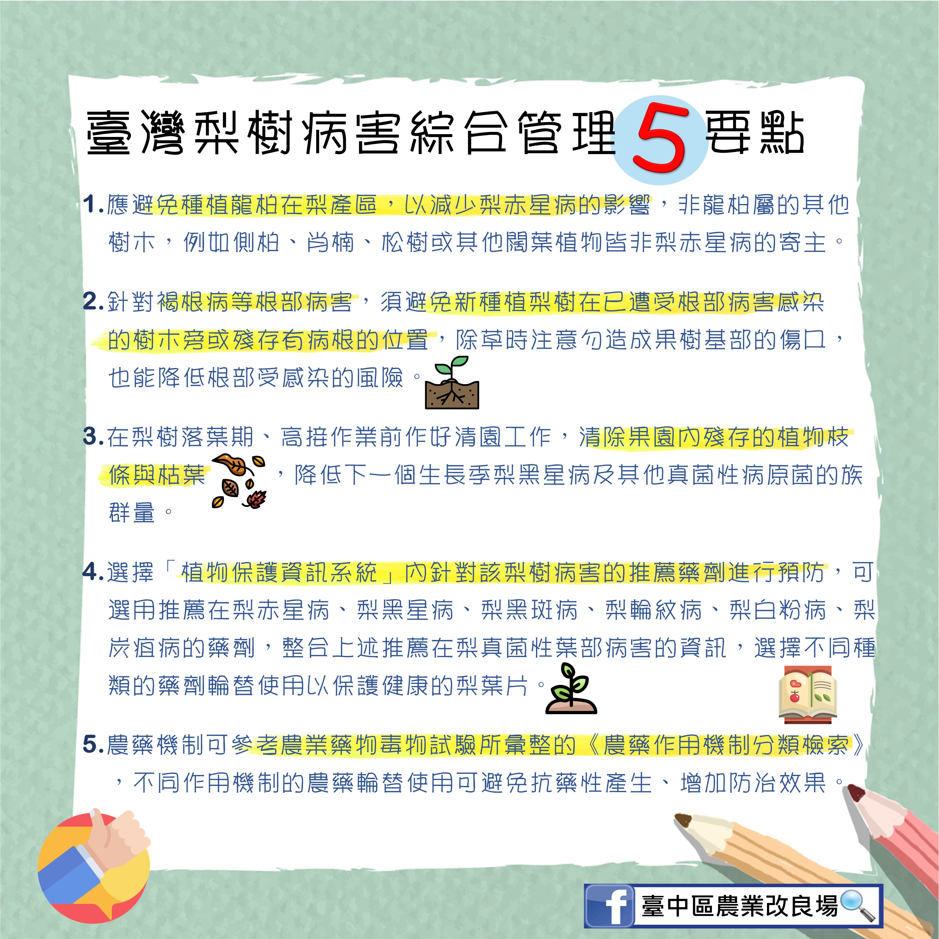 梨樹病害綜合管理5要點
