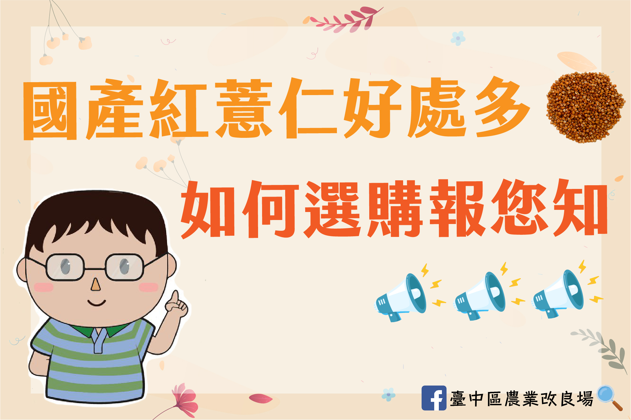 國產紅薏仁好處多 如何選購報您知