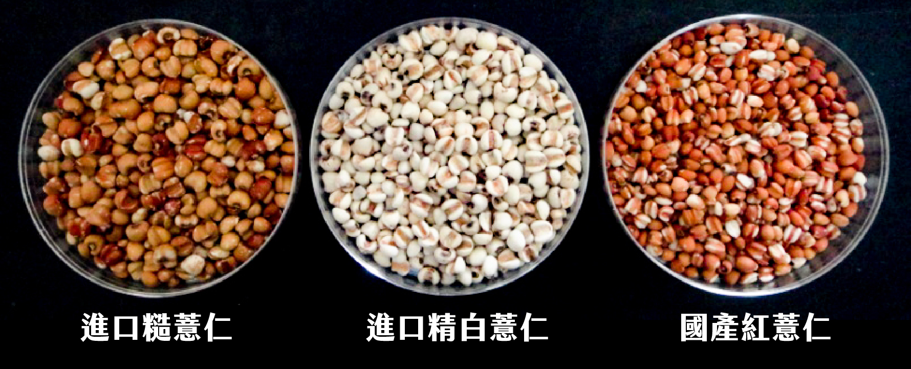 將進口薏仁與國產薏仁擺放一起時,可明顯區分不同之處。